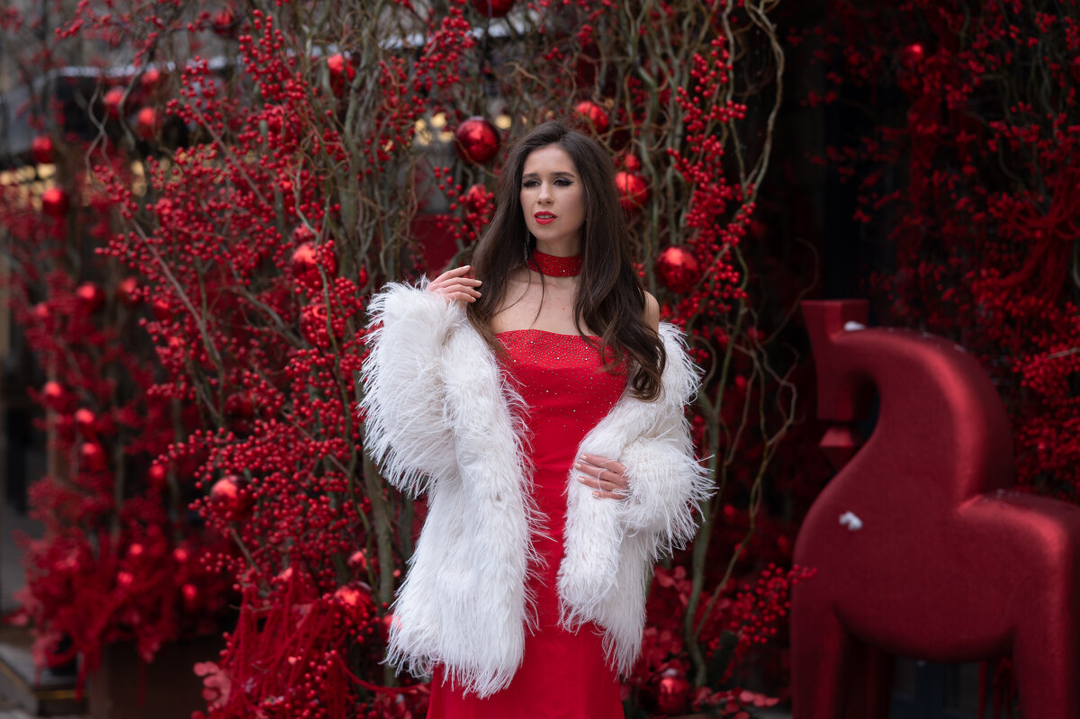 Гламурная Снегурочка в новогоднем декоре - Viktoria Anufrieva Гламурная Снегурочка в новогоднем декоре - Viktoria Anufrieva