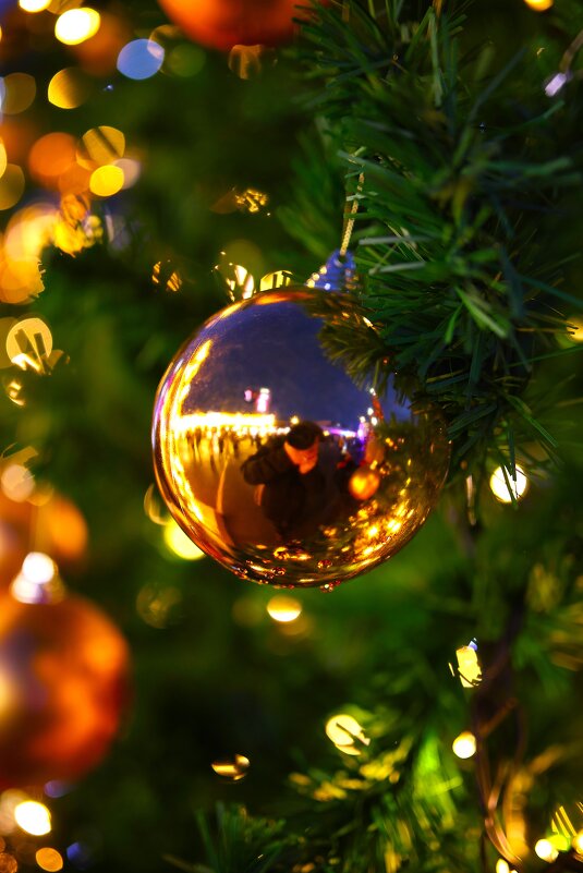 ...... - Evgeny Mameev