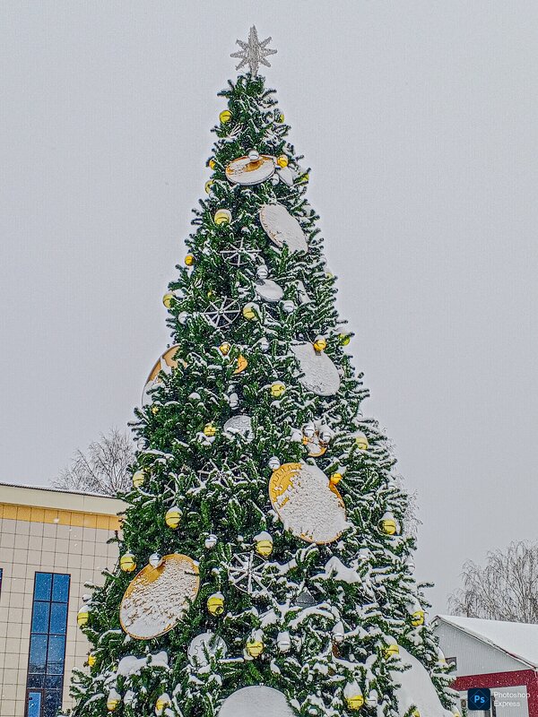 Городская елка - Юлия Денискина