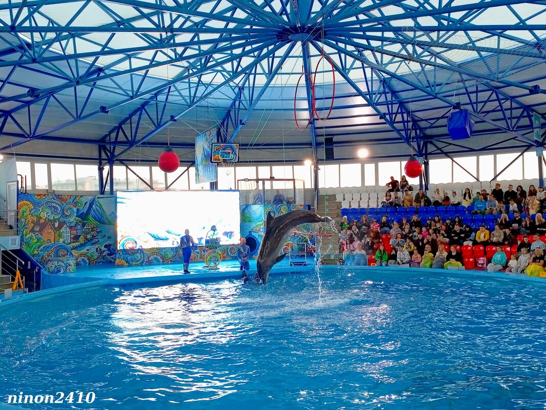 Адлер. Сочи Парк... Шоу дельфинов... - Нина Бутко