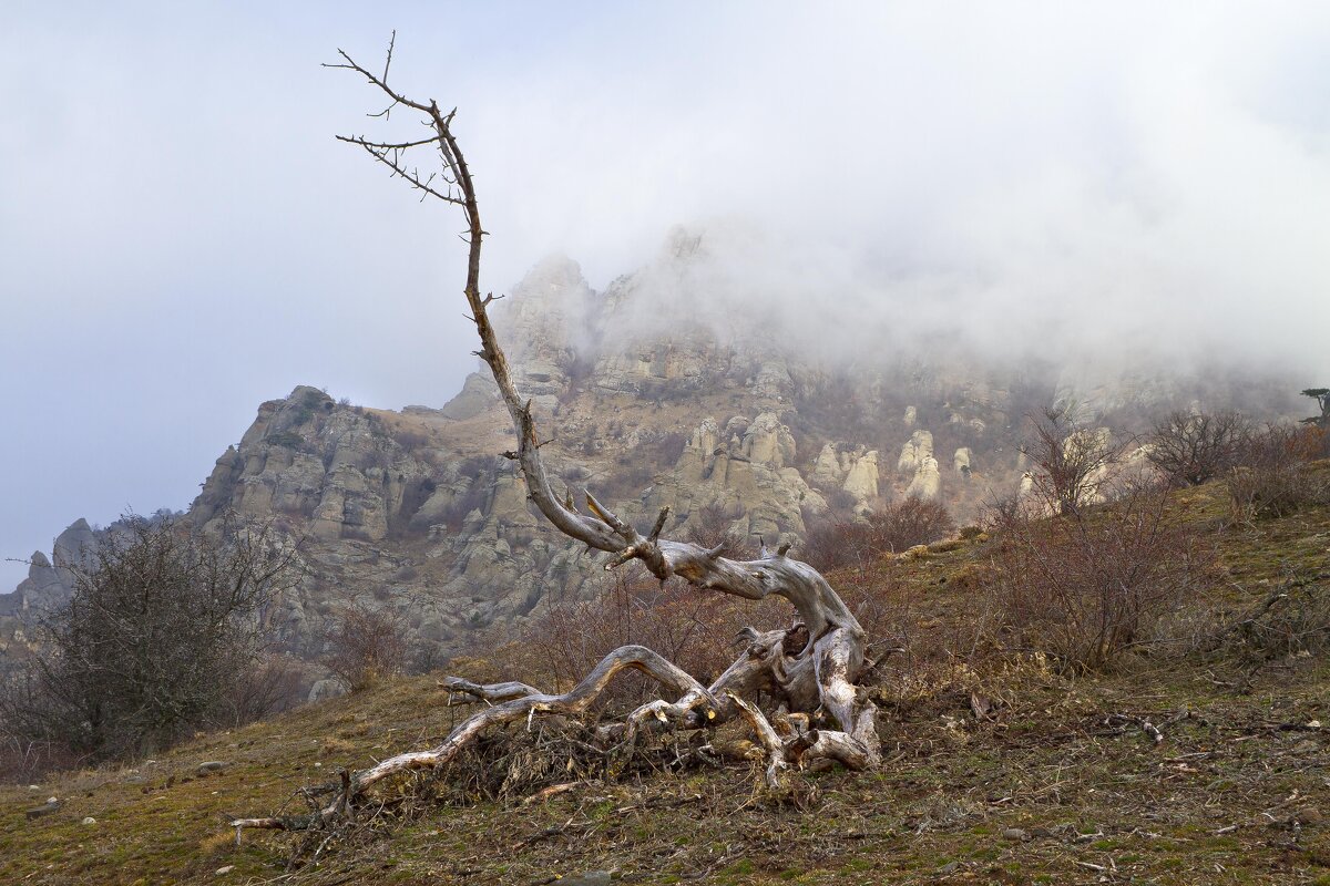 Чудище стозевно - Геннадий Валеев