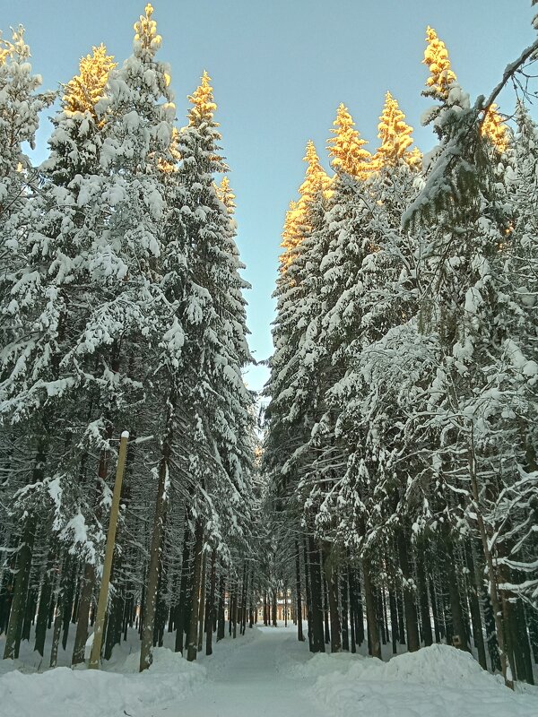 В Беличьем парке - Виктор 