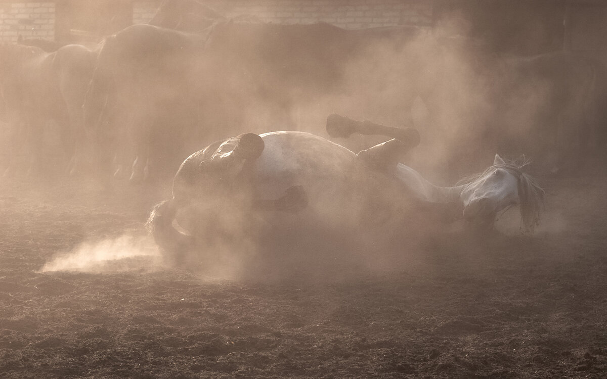 Ранним утром - Марина Фомина.