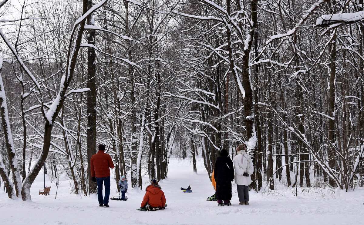 Зима в парке. - tatiana Зима в парке. - tatiana