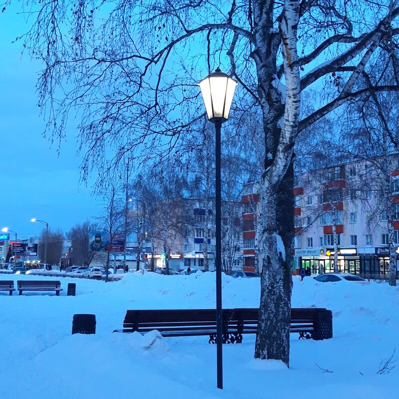 Январь - Венера Чуйкова