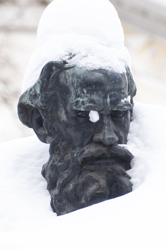 Лев Толстой в сугробе - Gen Лев Толстой в сугробе - Gen