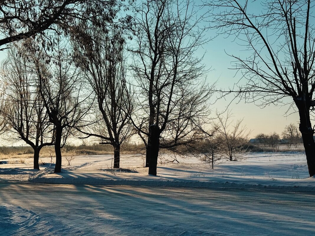 **** - Яна Горбунова
