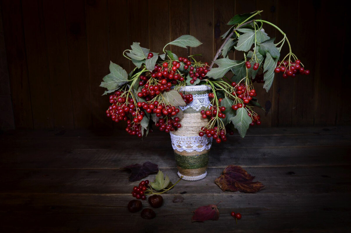 Калинушка... - Надежда Куркина 