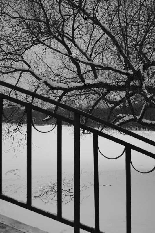 Парк Дружбы - Мария Яковлева