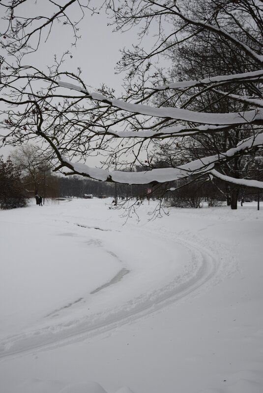 Заснеженный парк - Мария Яковлева