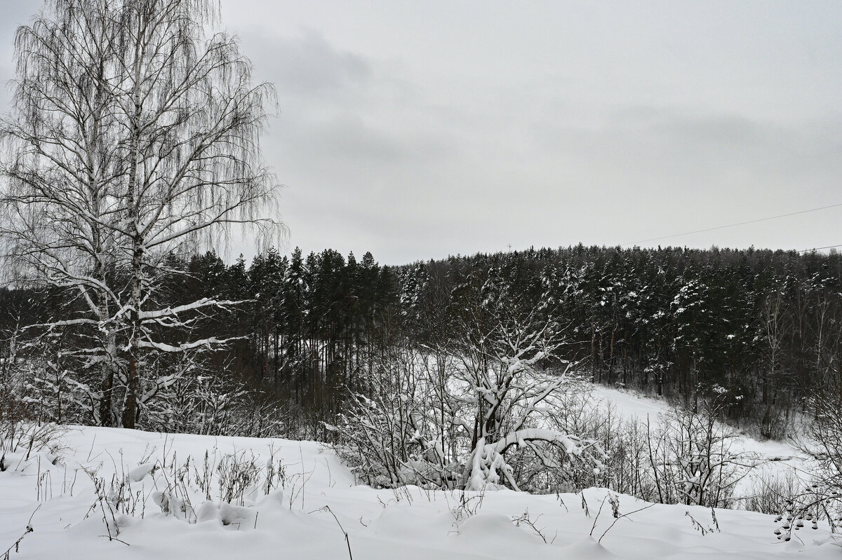 зима однако - Вадим 