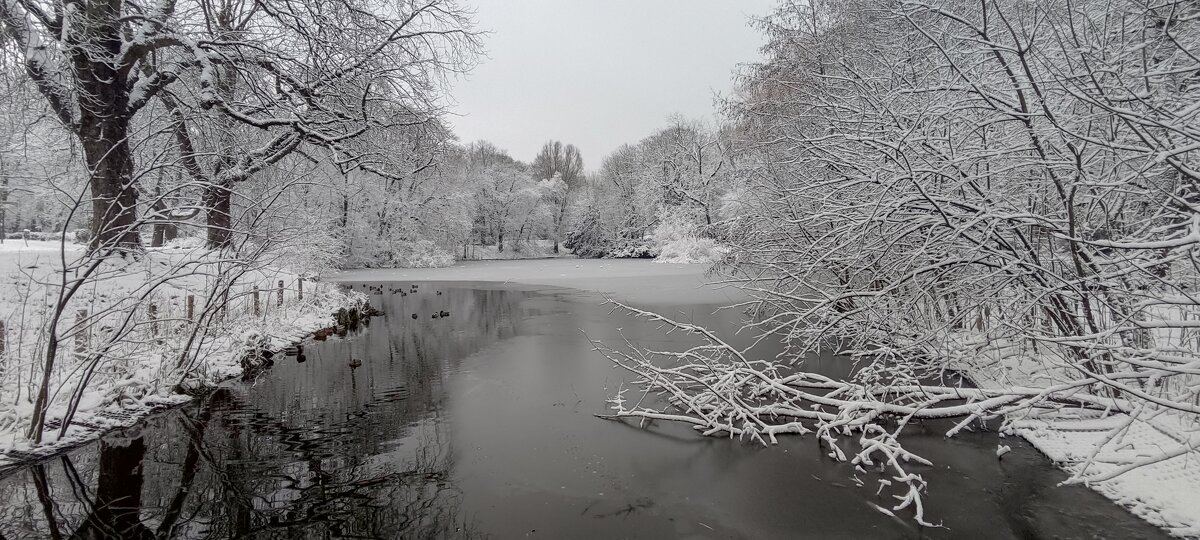 В зимнем парке - Boris Alabugin