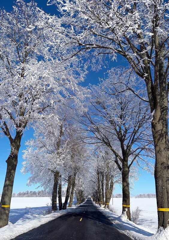 Виды по пути - В.И 