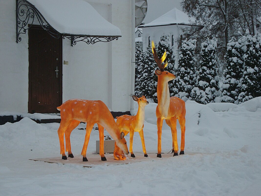Николо-Сольбинский женский монастырь - Лидия Бусурина Николо-Сольбинский женский монастырь - Лидия Бусурина