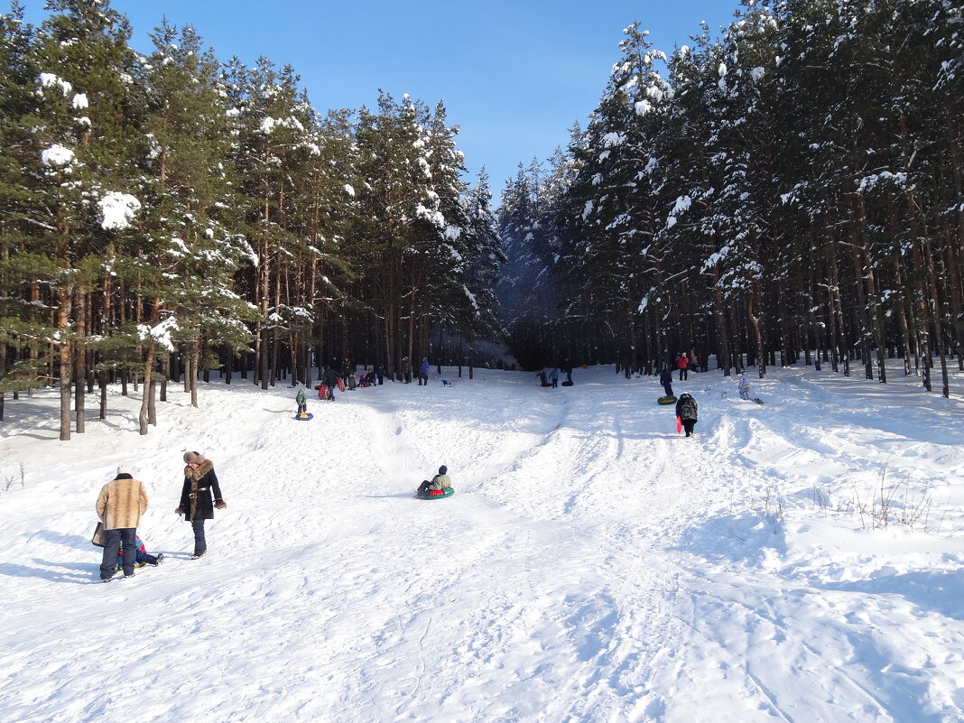 Зимние забавы. - Наталья ***