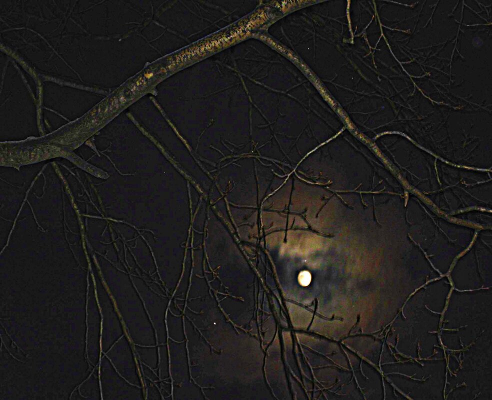 Зима...Иной мир!.. - Владимир Зима...Иной мир!.. - Владимир