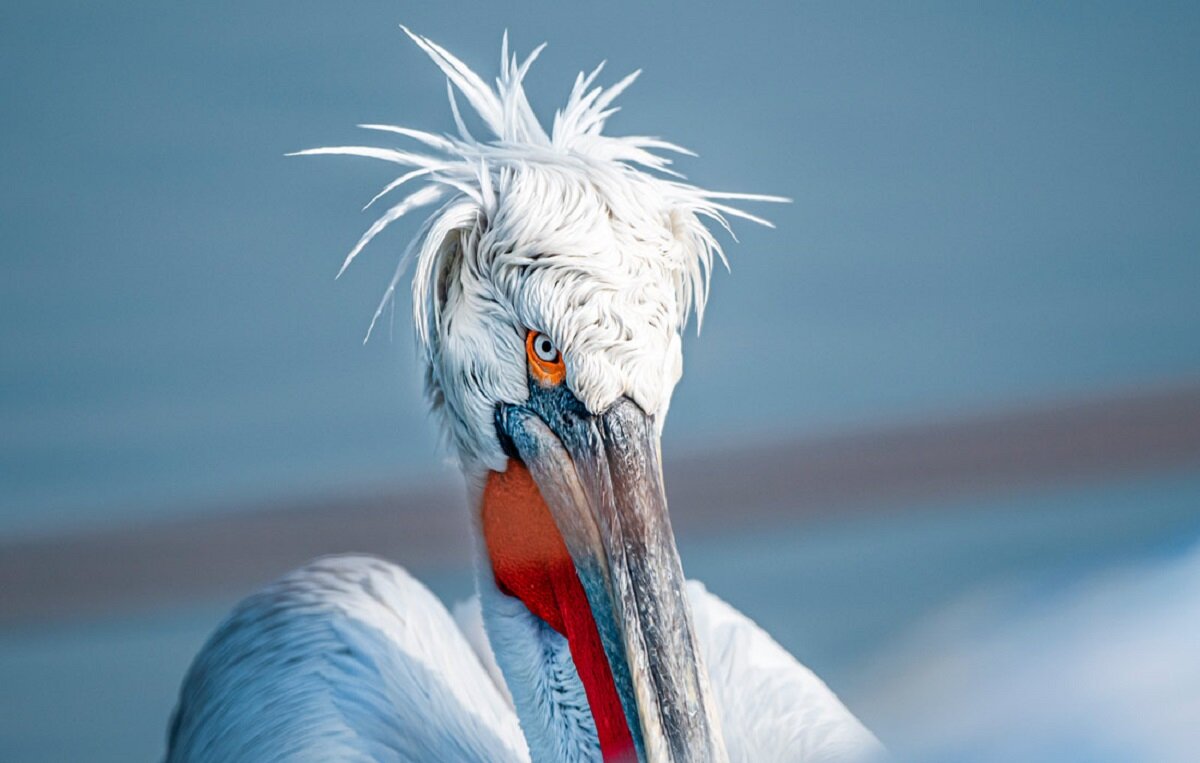 Фото репортаж из зоопарка -5 - irina Schwarzer 