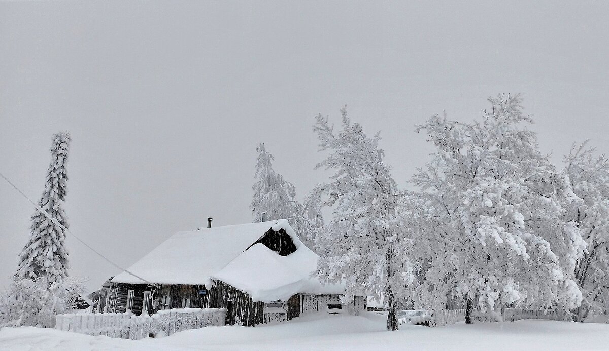 Белогорье - Лариса С.
