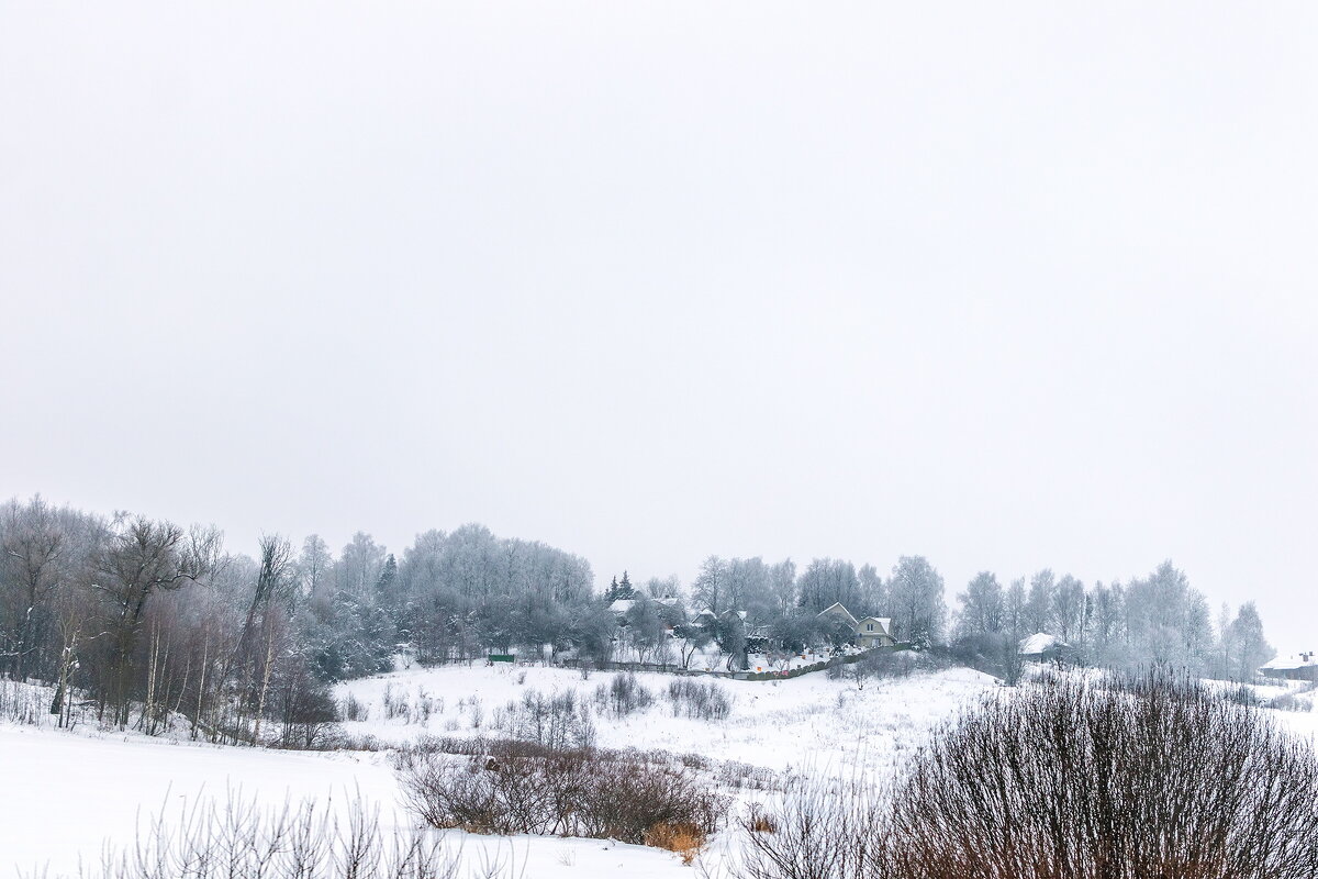Снежная зима или в стране белого безмолвия. - Анатолий. Chesnavik.