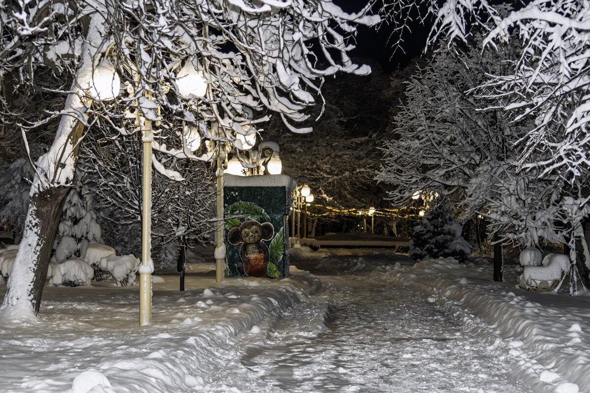 Люблю такие зимы - Игорь Сикорский