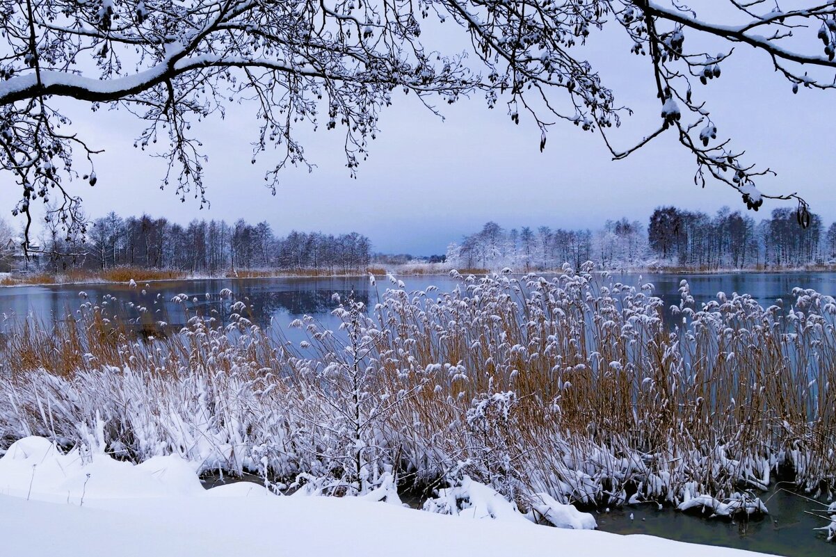В окрестностях Калининграда - Рита Симонова