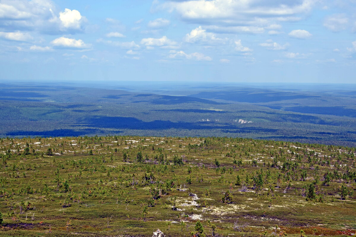 Со склона. - ВикТор Быстров