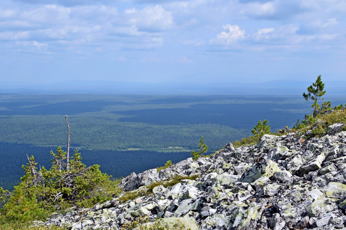 Курумник на склоне. - ВикТор Быстров
