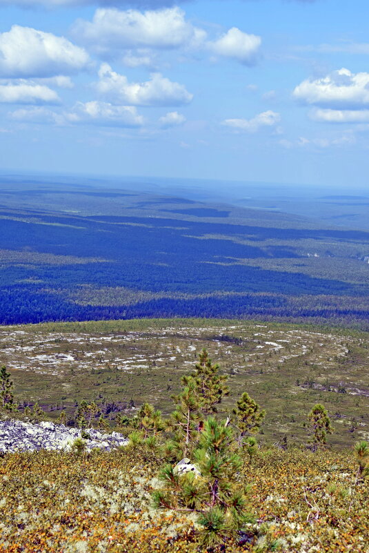 С плато. - ВикТор Быстров