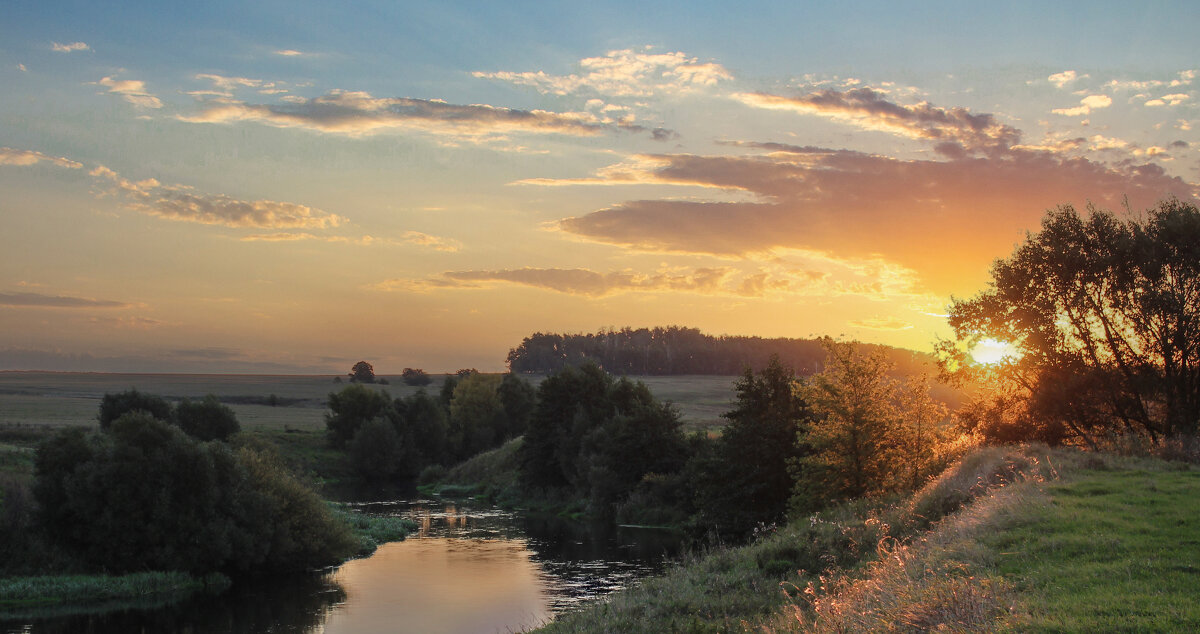 Дон. - Александр. AVG100 ---