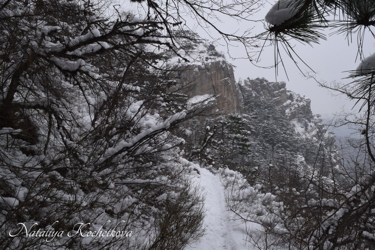 Природа Крыма - Amazing Cosmea
