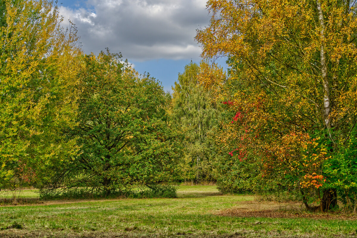 Парк - Jakob Dick