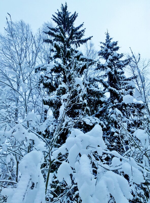 танцуют все - Владимир 