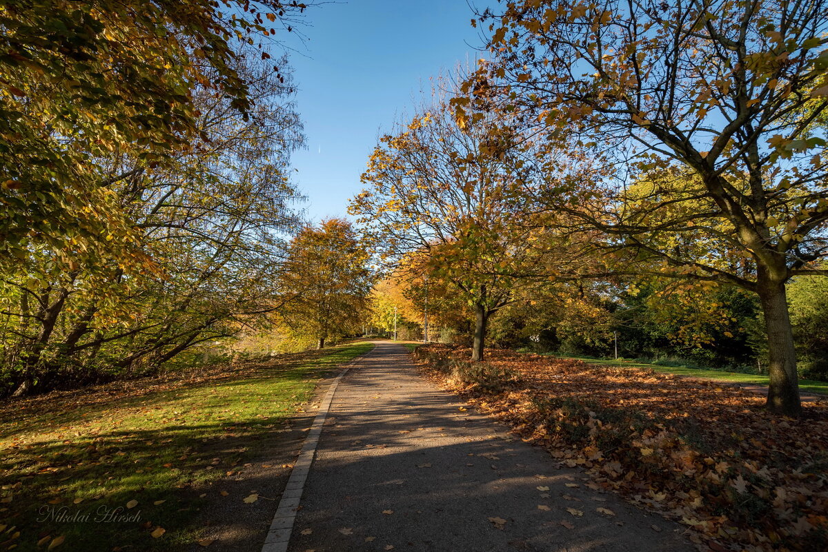 *** - Николай Гирш