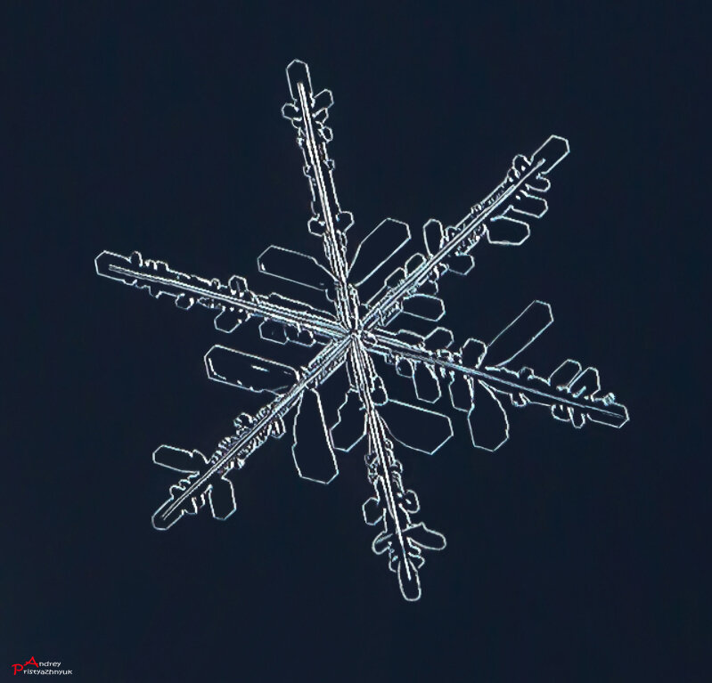 Снежинка - Андрей Пристяжнюк