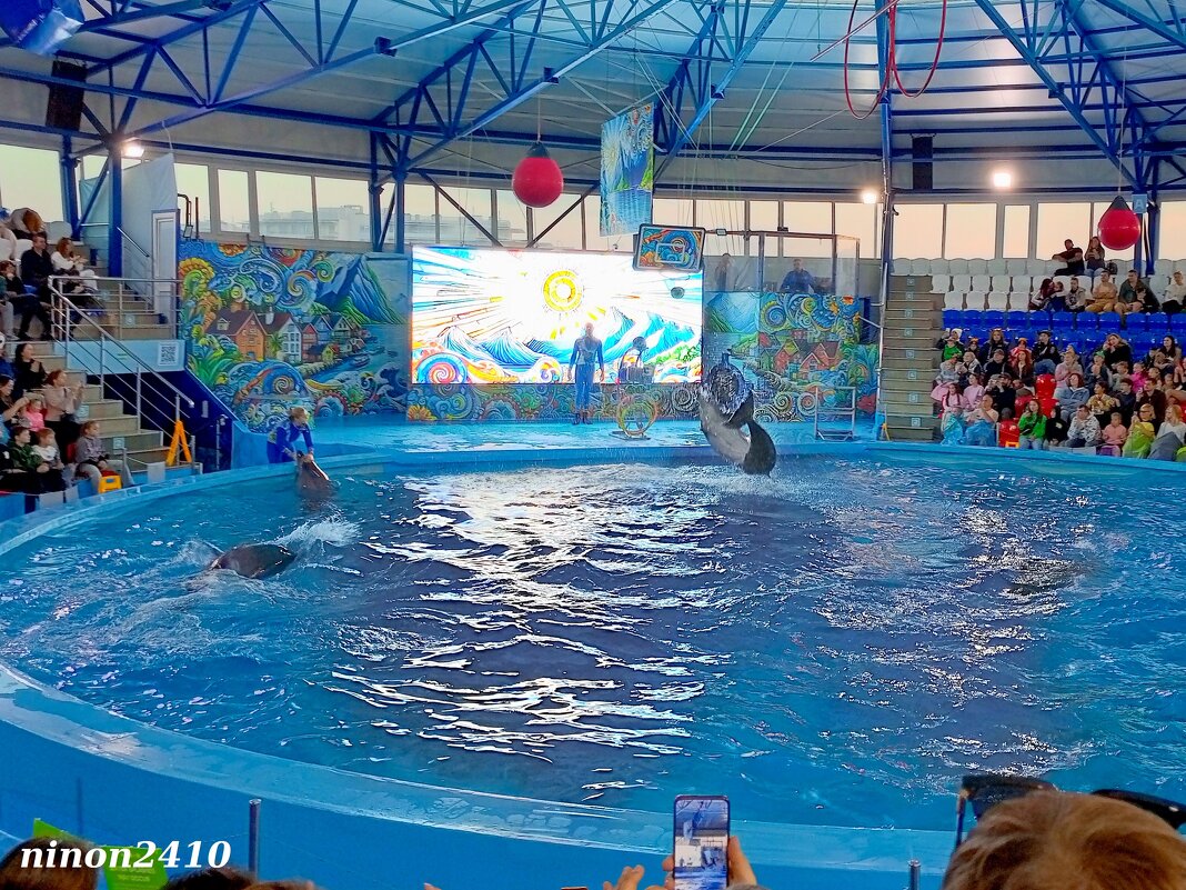 Адлер. Сочи Парк... шоу дельфинов... - Нина Бутко