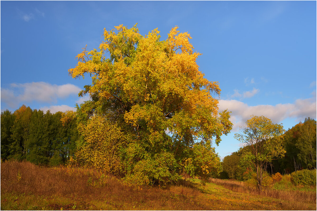 Осенний этюд - Валентин Котляров