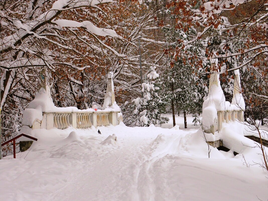 Мост зимой - Андрей Снегерёв