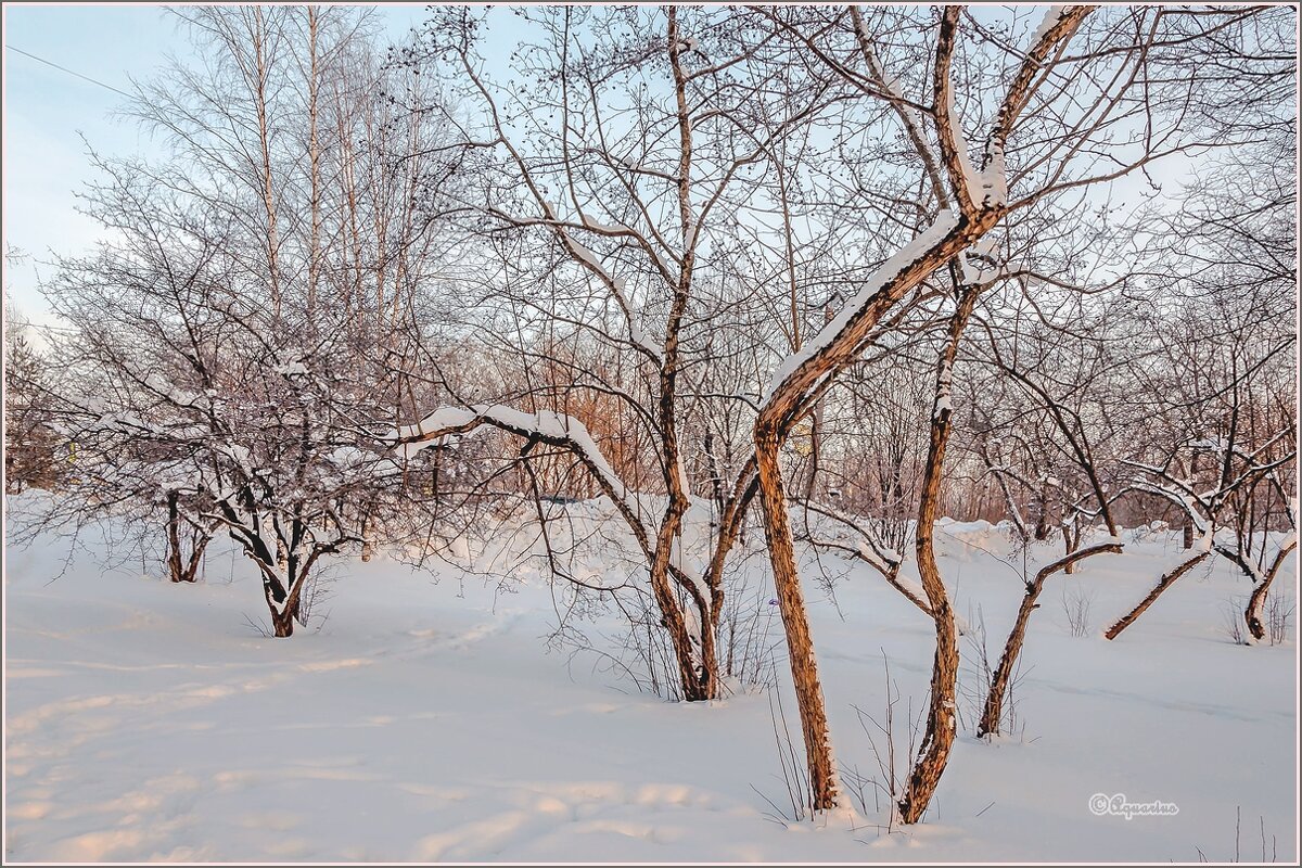 Про январь... - Aquarius - Сергей