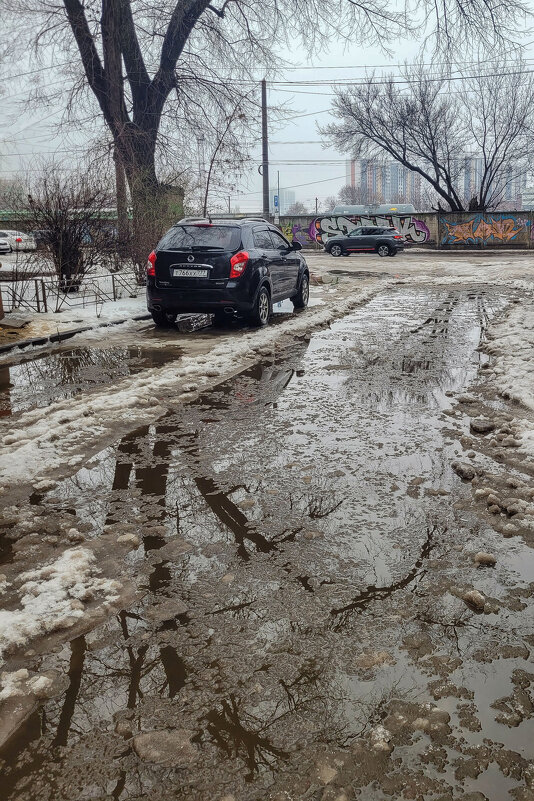 Чего только не бывает зимой... - Татьяна Машошина
