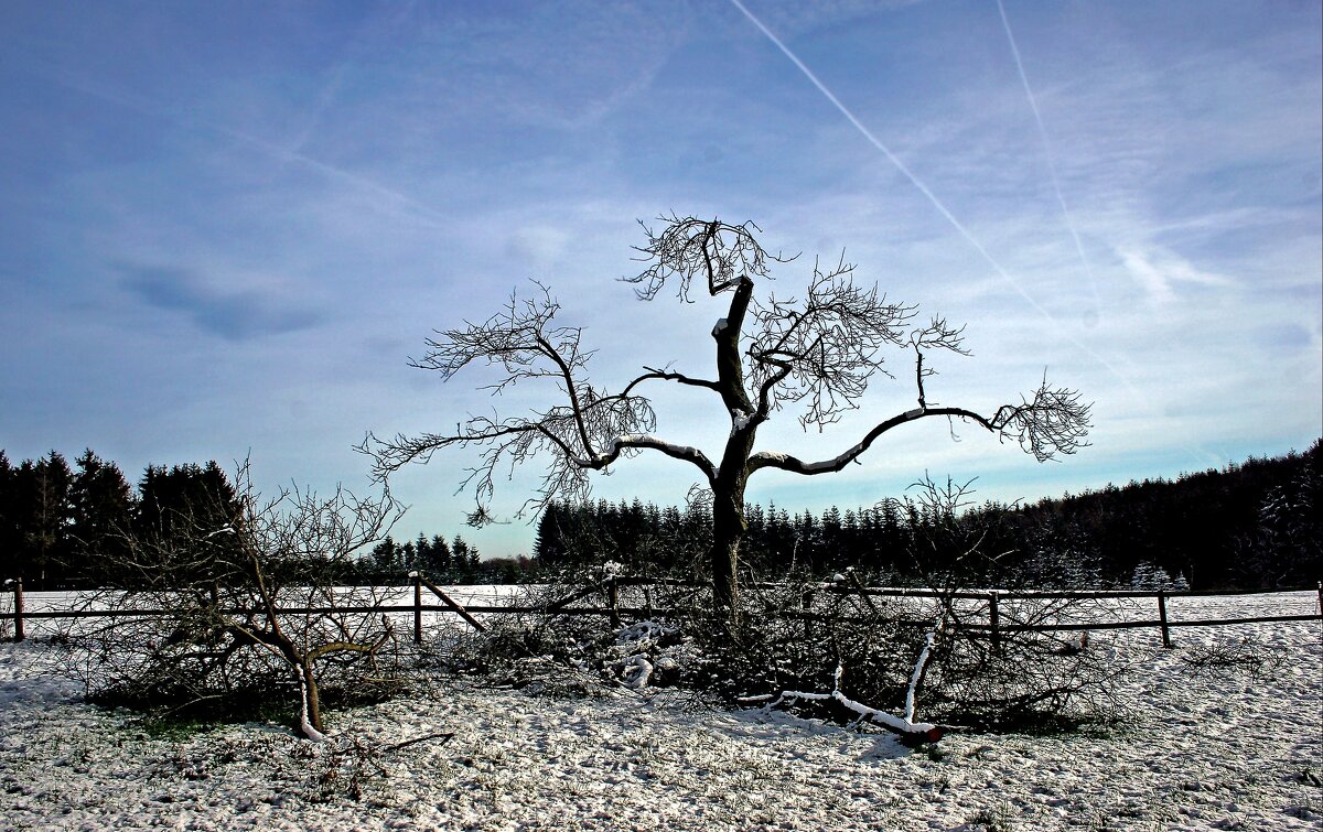 Подготовка к весне - Valziwa 