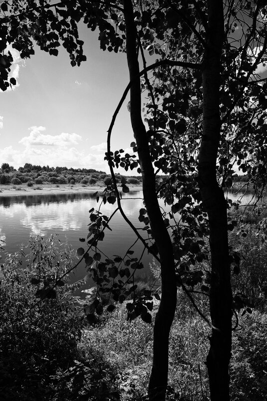 Фотография - Денис Безногов