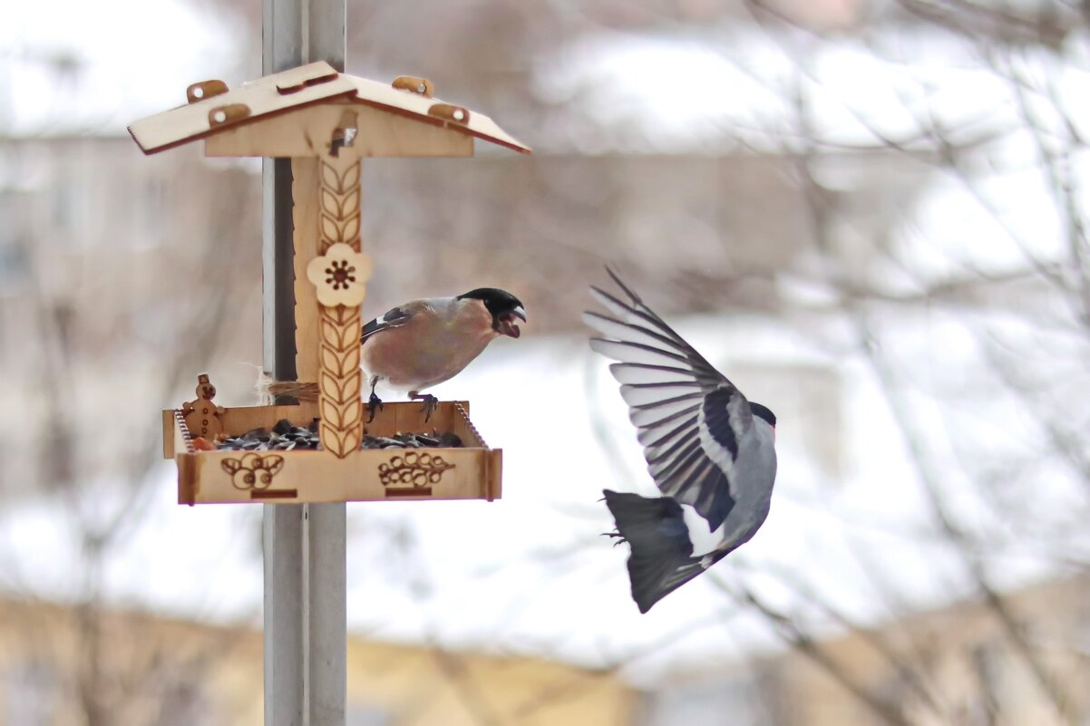Воспитательная работа. - Татьяна Бравая