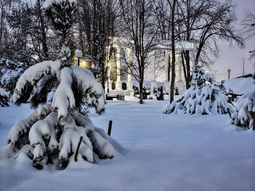 Зимний вечер вв парке - Валерий Ткаченко