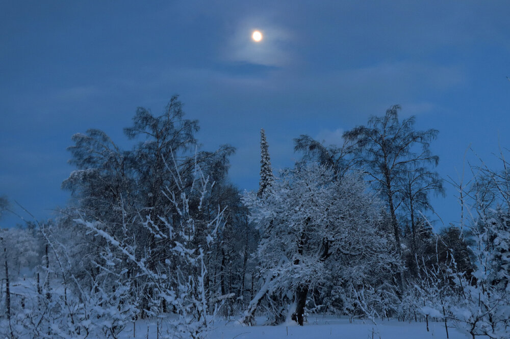Лунная мелодия вечера... - Галина Ильясова