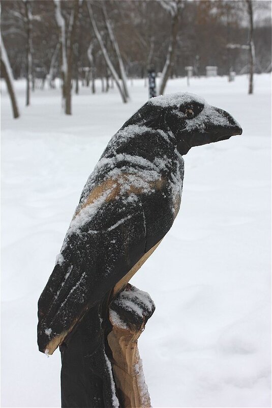 Ворон - Alisia La DEMA