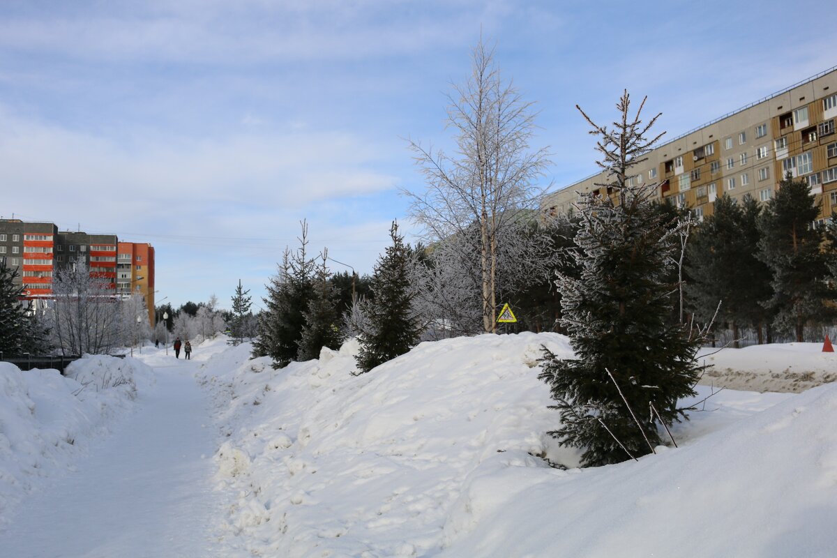 Зимний день - Ольга 