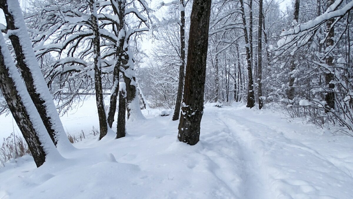 Январь на Смоленщине (репортаж из поездок по области). - Милешкин Владимир Алексеевич 