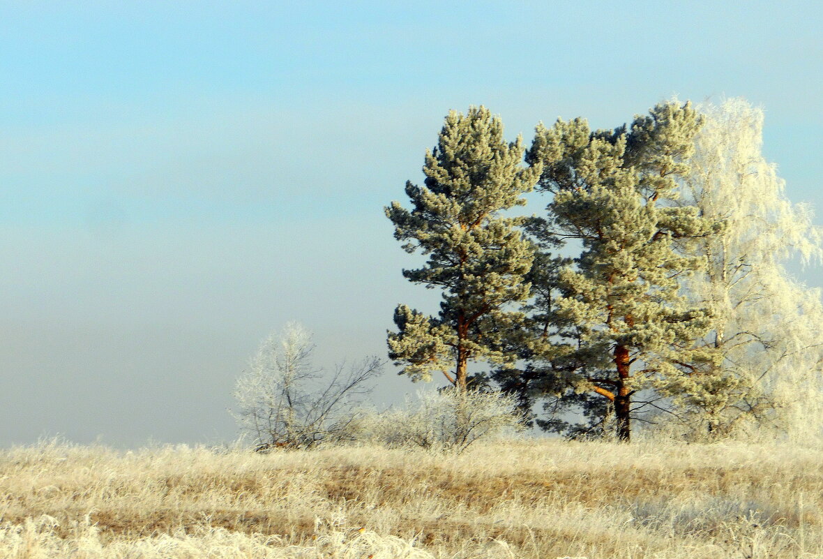 Сибирь. - nadyasilyuk Вознюк