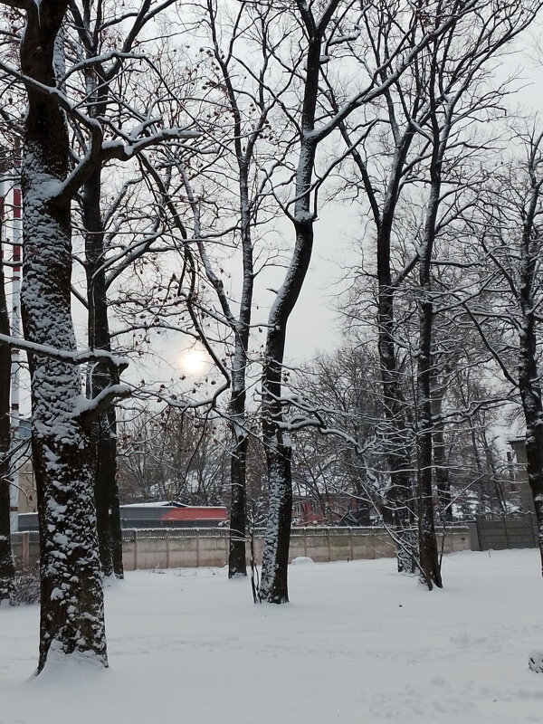 *** - Валентина Береснева