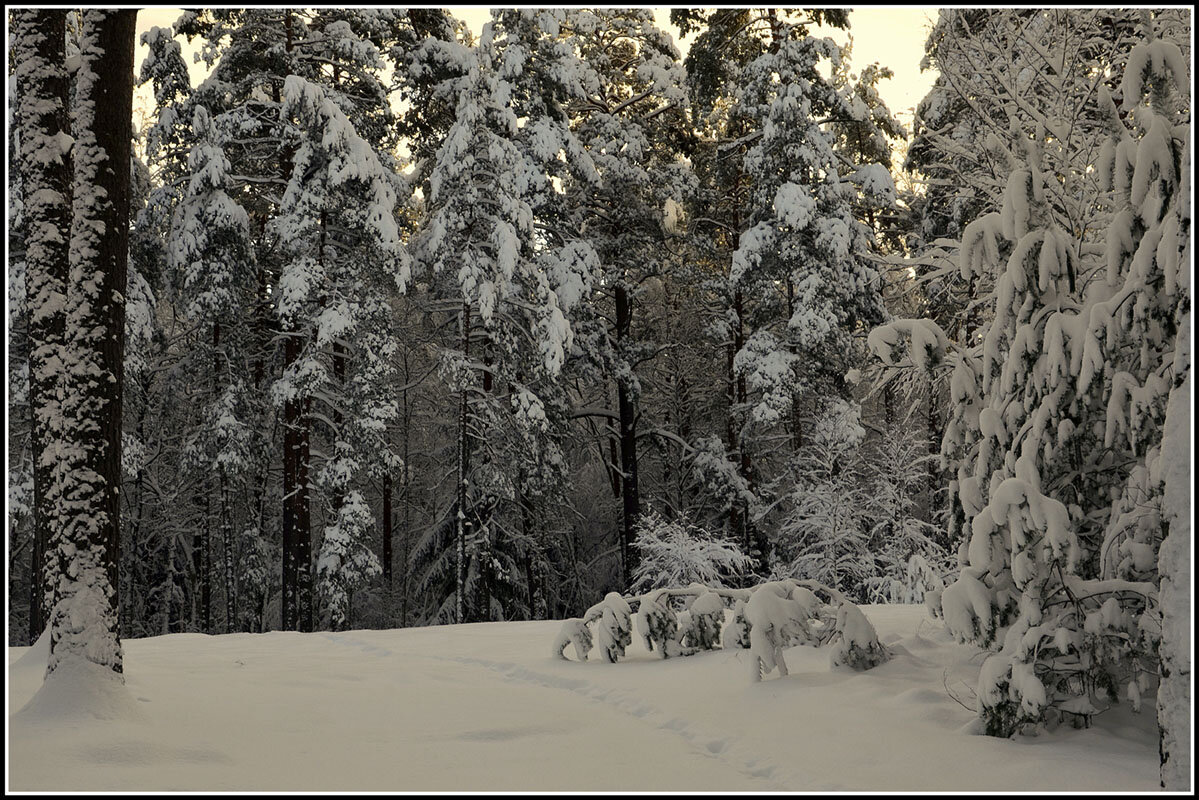 *** - Aleksandr Gal *** - Aleksandr Gal